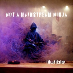Not A Mainstream Ninja