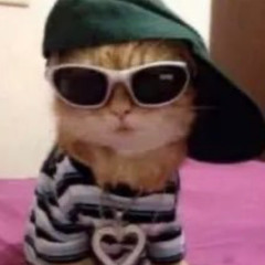 please excuse my they/them swag | lexikon 2025 mix