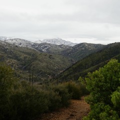 Azure (ft. Dom Dolla, Phantoms, Eli & Fur, Taiki Nulight, LP Giobbi, and co.)