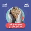 القمح.. مفتاح الأمن الغذائي العربي