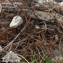 Indigoblue - Spinal Spiral (Décembre 2025)