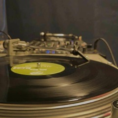 Back to the Roots | Vinyl Set | Absys Studio 26082023