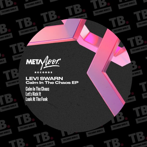 TB Premiere: Levi Swarn - Look At The Funk [Metafloor Records]
