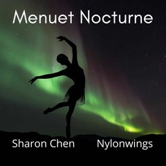 Menuet Nocturne (Piano and Guitar)