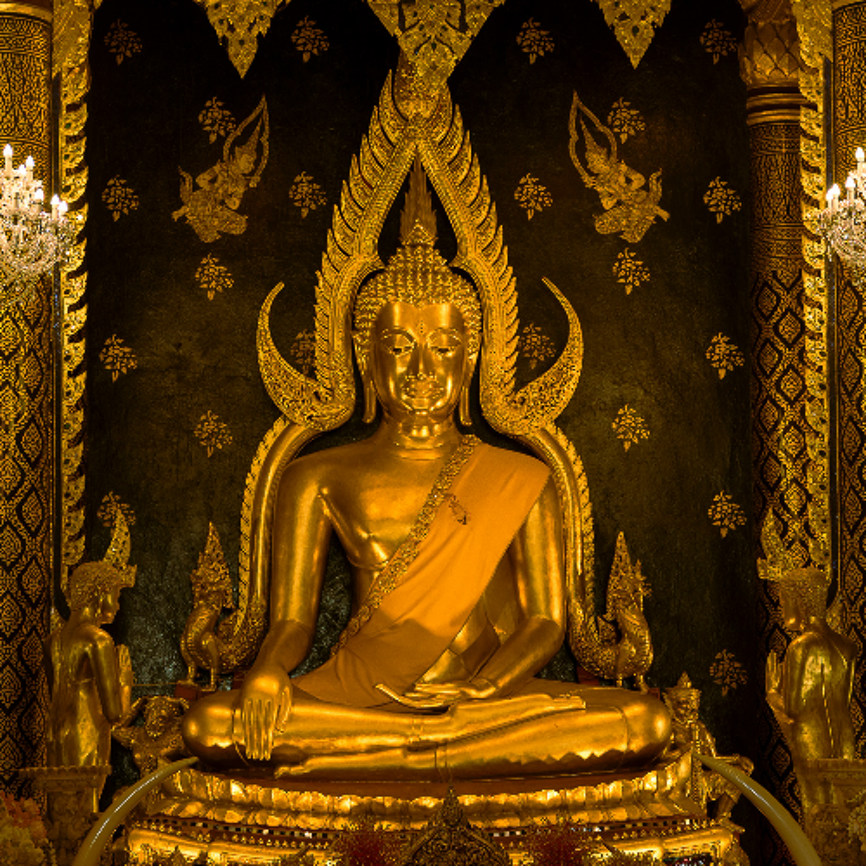 Associazione Kalyanamitta: Meditazione, Mindfulness, Buddhismo