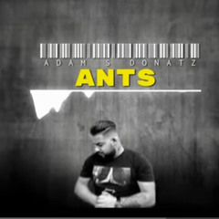 Adam S Donatz - ANTS
