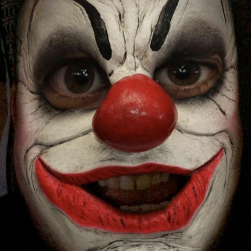 Tinic -- Clownfiné -- Cator.C