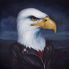 eagle pint()()+