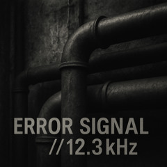 Error Signal // 12.3 kHz