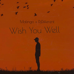 Malingo- Wish you well X DjDifferent