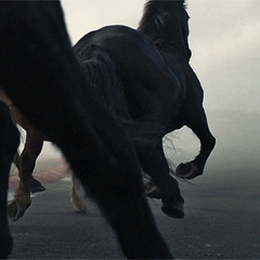 bag bigger (starw3y) #zukore