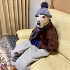 САМІ ЖОСКІ СІКРЕЬЕІ ПЛЕЙЛІСТ ДЛЯ БІДАЛАХ ЙОПТА 2023 💀💀💀🎃⚰️🪓🚔💯🦌🚨🏚️🪓