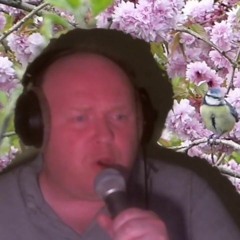 Blue Bird - Naruto - David - FIls De Ange Momone[phonk Remix By Sunset]