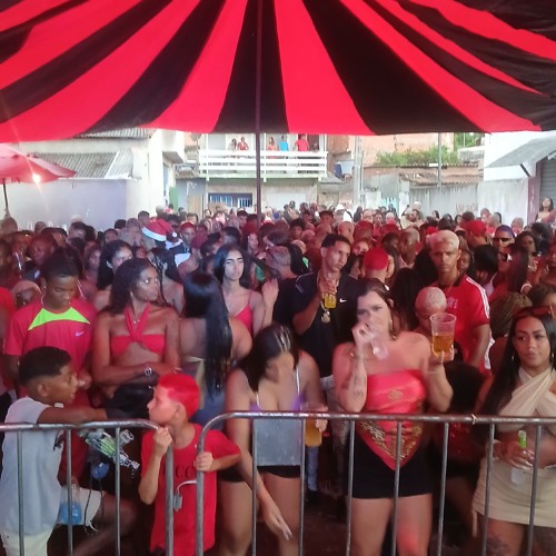 MC HENRY - TROPA DO COROA MÁQUINADO NA PUTARIA 2K25 ( DJ JG DE CBF & DJ HR O CLÍNICO ) BOCA DO MATO