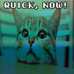 Spazzmatica Polka Remix