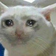 my g key has rootbeer under it (custom ocean handle)