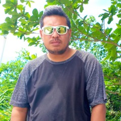 This I Promise You by Mr. Roar and DJ Binlope