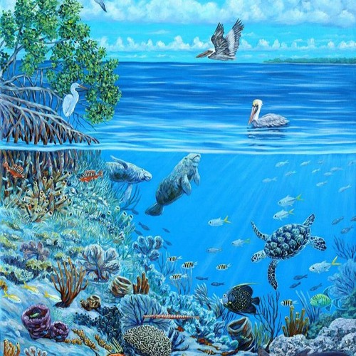 Sound GALORE IN THE SEA