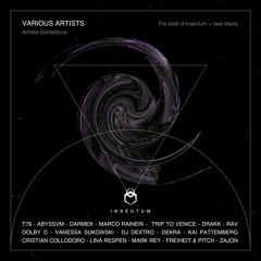Dextro - Destination (Kai Pattenberg Remix) (Soon On Insectum Records]