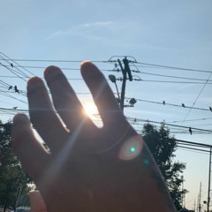 Cellardoor. LIVE! - DEMO RECORDING (2018)