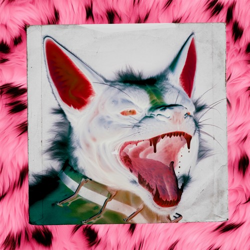 DISZKÓ SNACK 003