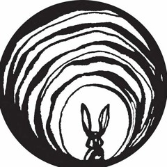The Rabbit Hole