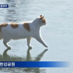 꽁꽁 얼어붙은 힙합씬 위로
