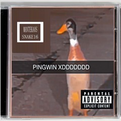 PINGWIN XDDDDDDD