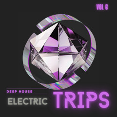 ELECTRIC TRIP 6 (DEEP HOUSE)
