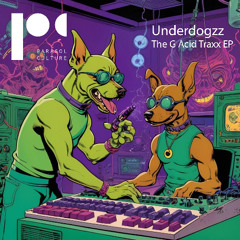 B1 - Underdogzz - The G Acid Traxx - TB Digital Master 2448
