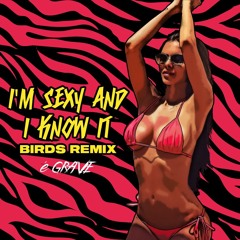 Birds - Sexy And I Know It (REMIX)