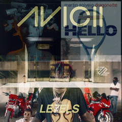 Levels vs Somebody I Used To Know vs Bad and Boujee vs Hello vs Piece Of Your Heart (itzenio Mashup)