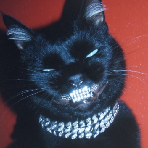 reinvented_danco_nebtis.mp3