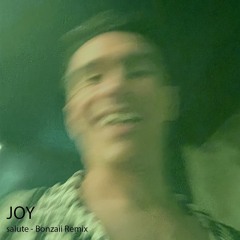 Salute - Joy [Bonzaii's UKG Remix]