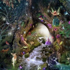 Stardust Butterfly Prod. SEGADOR