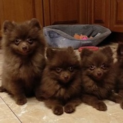 твои карие глаза.mp3 [p. negative.creeper]