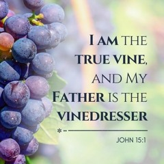 Thou_Hast_Said_Thou_Art_the_Vine_Lord-Hymn 561 🌹 Eres La Vid Verdadera-Himno 262 🌱