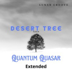 Quantum Quasar (Extended)
