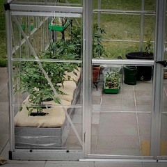 Green House 1