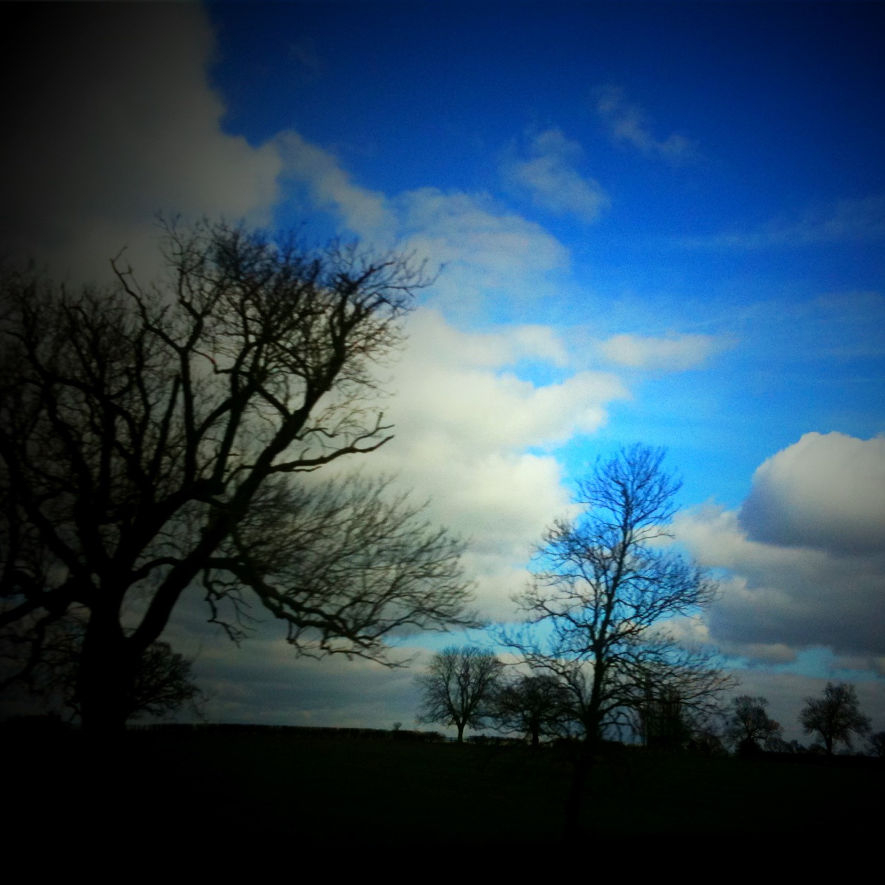 Could You Understand In A Flat Landscape episode artwork