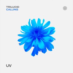 Trilucid - Calling