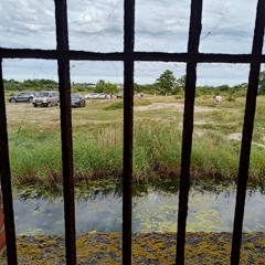 борат - гимн Казахстана