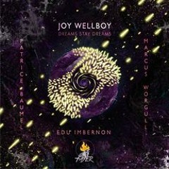 PREMIERE: Joy Wellboy - Dreams (Patrice Baumel Remix)[Fayer]