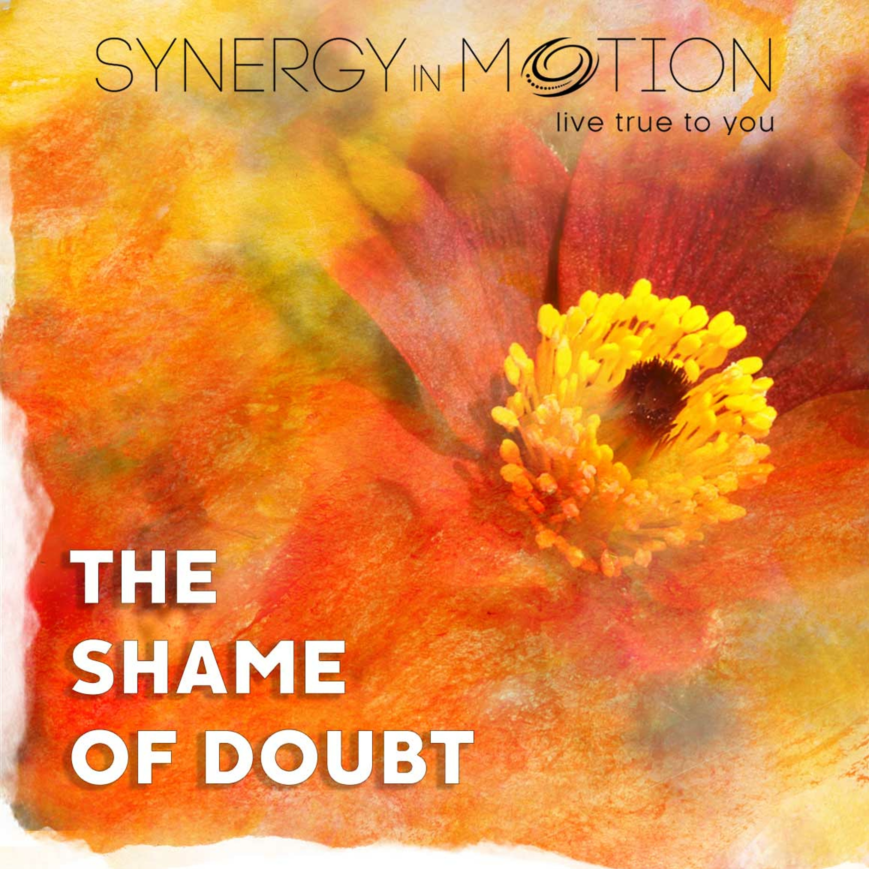 The Shame Of Doubt ~ Hexagram 63 episode artwork