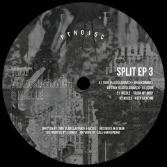 PTN015C TROY VLADISLAVOVICH & NICOLE - SPLIT EP 3