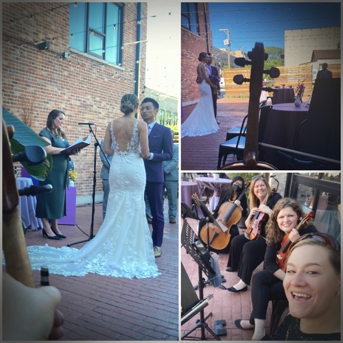 Pop String Quartet Medley of Popular Wedding Songs