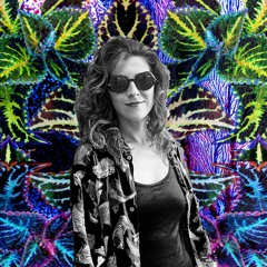 Meta Monumental Market