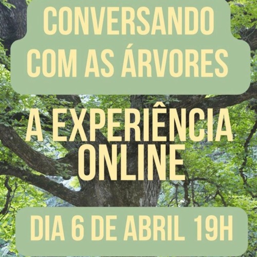 Conversar com si - Conversando com as Árvores - Experiência