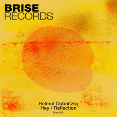 PREMIERE: Helmut Dubnitzky - Reflection [ Brise Records ]