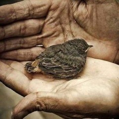 مُنذُ فَآرَقتُ الديَار